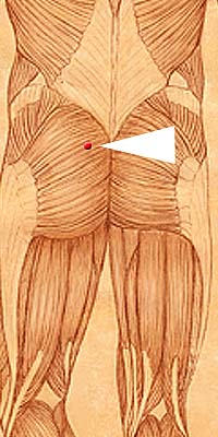 BL26 . Guan Yuan Shu