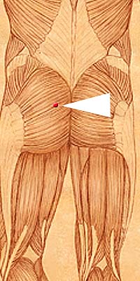 BL28 . Pang Guang Shu